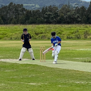 Big wins for Rosmini at Cricket Zone Day