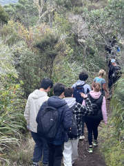International students climb Rangitoto Island