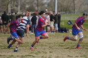 Rosmini crowned Harbour Rugby Youth 16 Champions