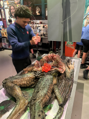 Year 9s go behind the scenes at Weta Workshop