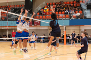 Volleyball Junior Prems finish season on a high