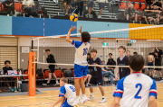 Volleyball Junior Prems finish season on a high
