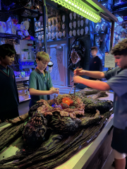 Year 9s go behind the scenes at Weta