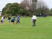 Rosmini celebrates Te Wiki o te Reo Māori 2026